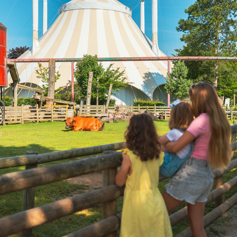 LA FERME DES PETITS AMIS 