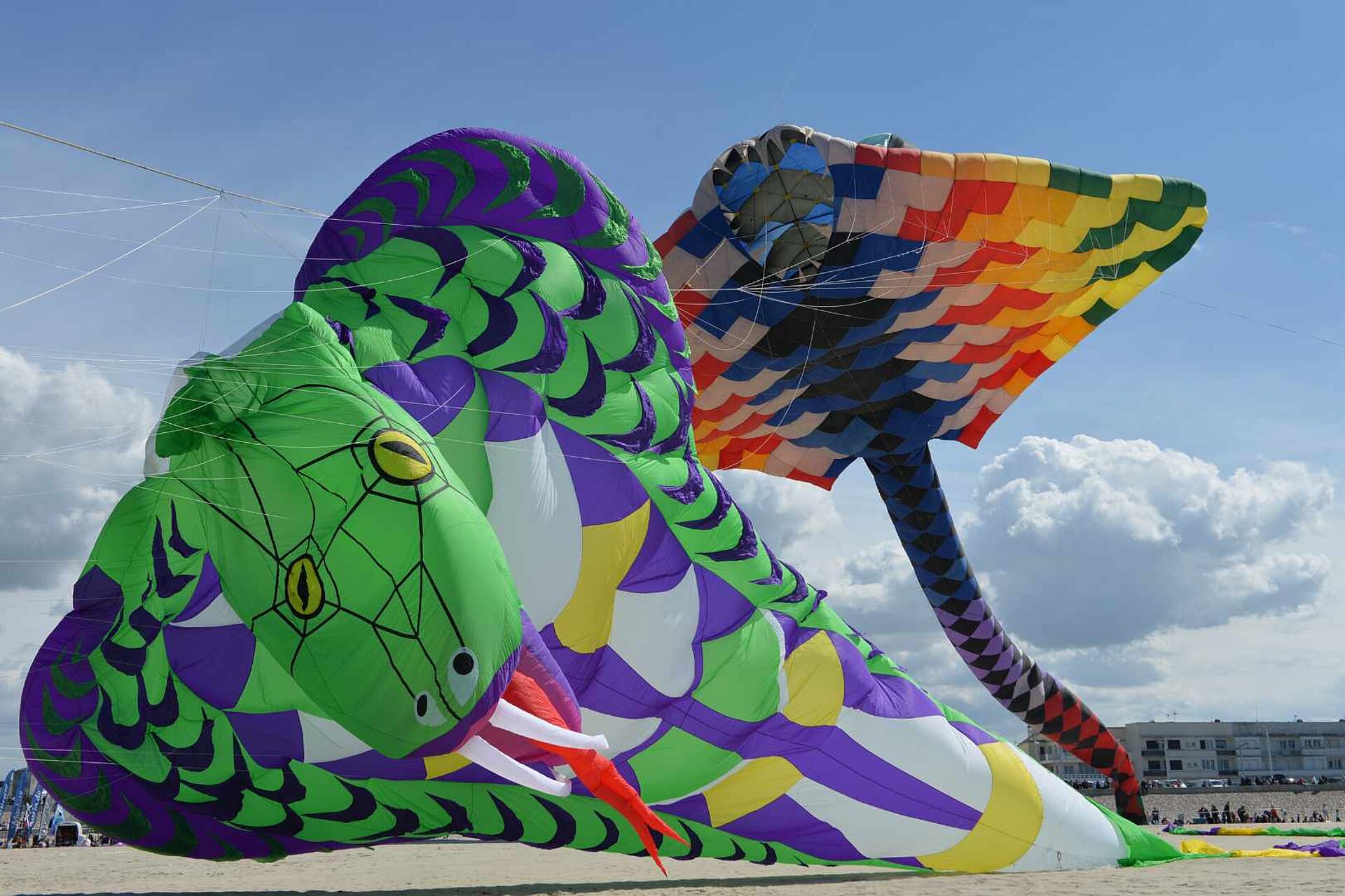 Cerfs Volants de Berck 