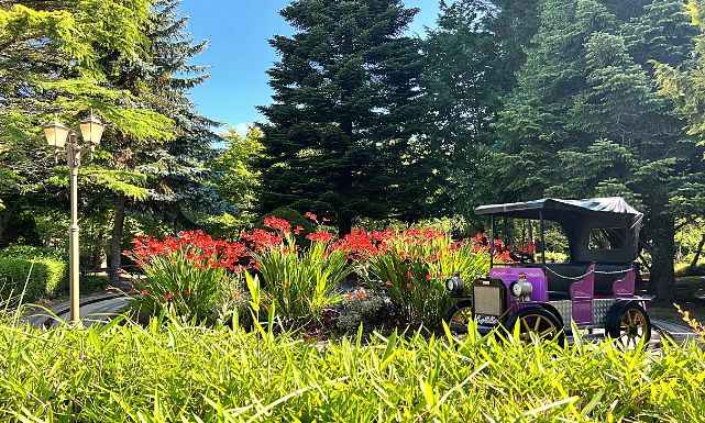 Photo du véhicule violet des Tacots, l'attraction des voitures historiques du parc Bagatelle